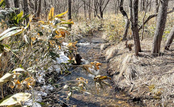 設置事例/IRONDOG N°07